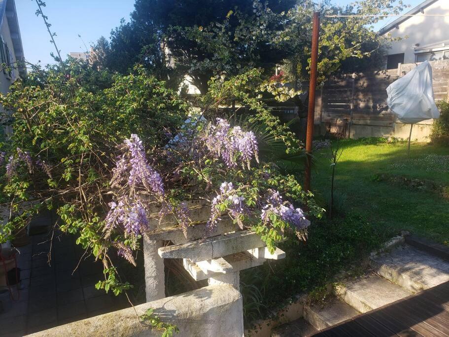 Studio Buena Vista Avec Terrasse Sur Jardin Bron Exterior foto